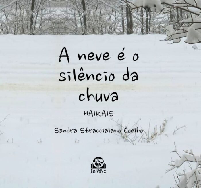 A neve é o silêncio da chuva, Sandra Straccialano Coelho